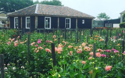 Pluktuin is weer open!