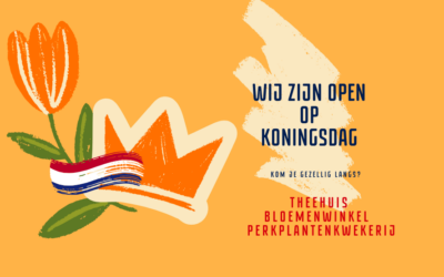 KONINGSDAG GEOPEND
